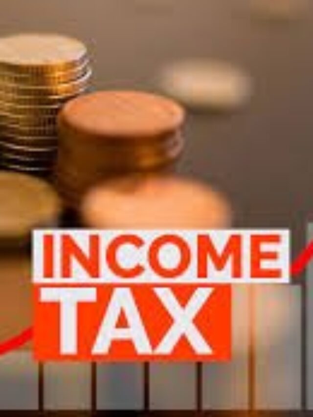 How can I save 100% Income Tax  in 2024?